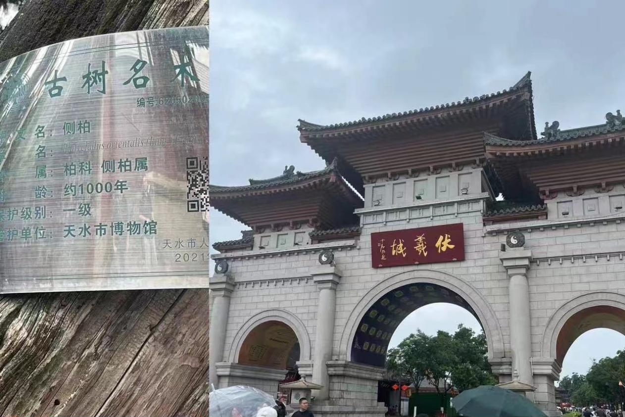 微信图片_20240818192704.jpg副本